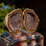 Agaat geode, Tabasco, Mexico #6