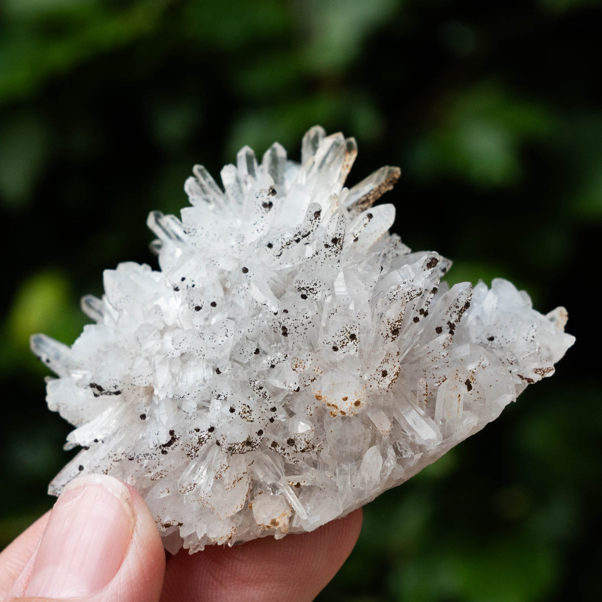 Kwarts met goethiet #1 – Minerals by Mike & Isis
