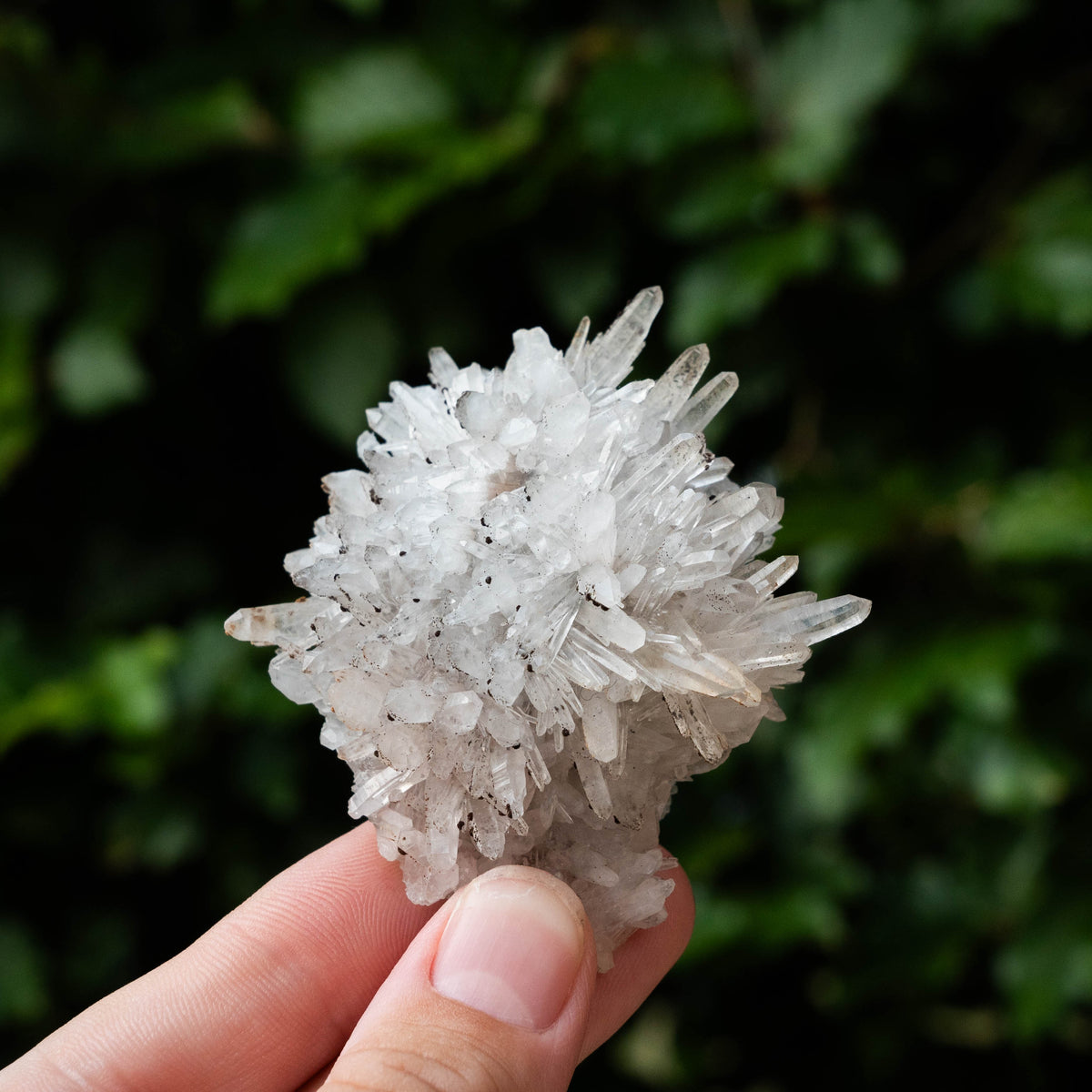 Kwarts met goethiet #1 – Minerals by Mike & Isis