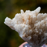 rhodochrosiet kwarts bulgarije