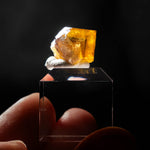 fluorite frohnau germany