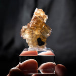 fluorite frohnau germany