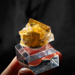 fluorite frohnau germany