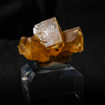 fluorite frohnau germany