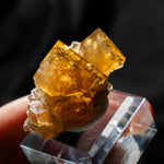 fluorite frohnau germany