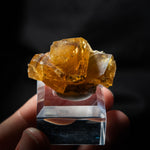 fluorite frohnau germany