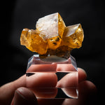fluorite frohnau germany