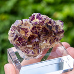 Fluoriet uit Purple Bunny Pocket, Namibië