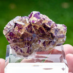 Fluoriet uit Purple Bunny Pocket, Namibië