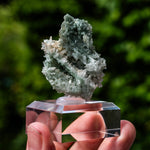 Kwarts & Chloriet uit Djurkovo #2