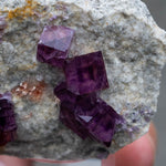 Fluoriet uit Anhui #5