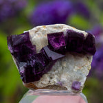 Fluoriet uit Anhui #9