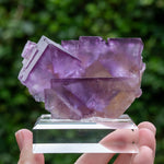 Fluoriet uit Minerva No. 1, USA #1