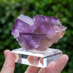 Fluoriet uit Minerva No. 1, USA #1