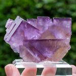 Fluoriet uit Minerva No. 1, USA #1