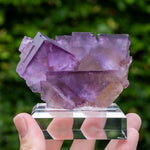 Fluoriet uit Minerva No. 1, USA #1