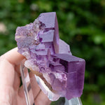 Fluoriet uit Minerva No. 1, USA #1