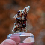 Spessartien granaat Wushan China