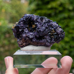 fluorite frohnau germany
