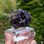fluorite frohnau germany