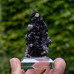 fluorite frohnau germany