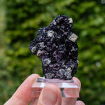 fluorite frohnau germany