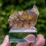 Fluorite Bergmännisch Glück Frohnau
