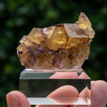 Fluorite Bergmännisch Glück Frohnau