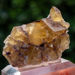 Fluorite Bergmännisch Glück Frohnau