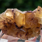 Fluorite Bergmännisch Glück Frohnau