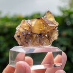 Fluorite Bergmännisch Glück Frohnau