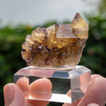 Fluorite Bergmännisch Glück Frohnau