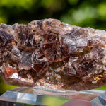 fluorite frohnau germany