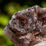 fluorite frohnau germany