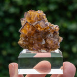 fluorite frohnau Bergmännisch Glück