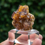 fluorite frohnau Bergmännisch Glück