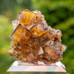 fluorite frohnau Bergmännisch Glück