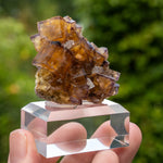 fluorite frohnau Bergmännisch Glück