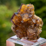 fluorite frohnau Bergmännisch Glück