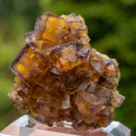 fluorite frohnau Bergmännisch Glück