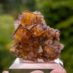 fluorite frohnau Bergmännisch Glück