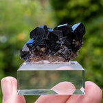 fluorite Bergmännisch Glück frohnau