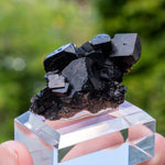 fluorite Bergmännisch Glück frohnau