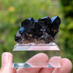 fluorite Bergmännisch Glück frohnau