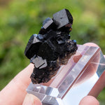 fluorite Bergmännisch Glück frohnau