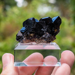 fluorite Bergmännisch Glück frohnau