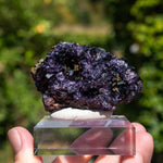 fluorite frohnau germany