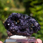 fluorite frohnau germany