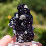 fluorite frohnau germany