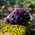 amethist cluster